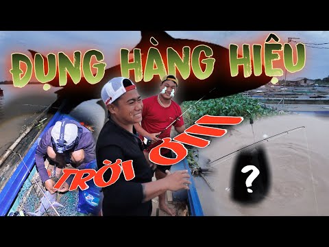 4 Anh Em Quyết Định Thay Mặt Cả Team Đi Phục Thù Con Cá Cóc ! | Thanh Nhã TV
