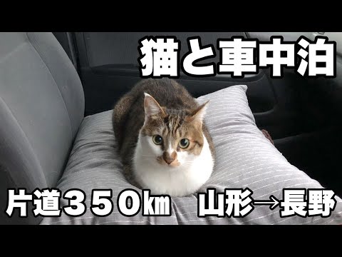 【車中泊 ハイエース】『山形⇒長野』片道３５０㎞の車中泊旅。長野の家に帰るため、DIYしたキャンピングカー仕様っぽいハイエースで、猫のマサと一緒に車中泊と車中飯。