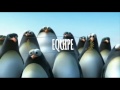 Understanding the Metaphors and Messages in the Video