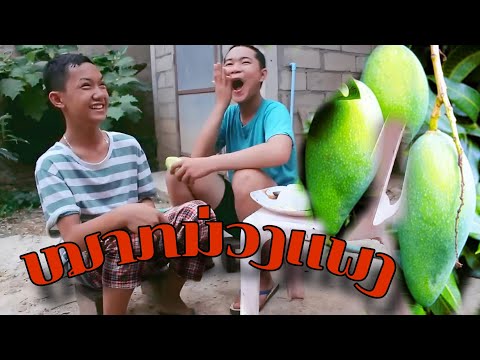 ບໍ່ໄດ້ຂີ້ຖີ່ກະໃຫ້ກິນຢູ່ເດบ่อได้ขี้ถี่กะให้กินอยู่เดะ