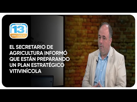 El secretario de Agricultura informó que están preparando un plan estratégico vitivinícola