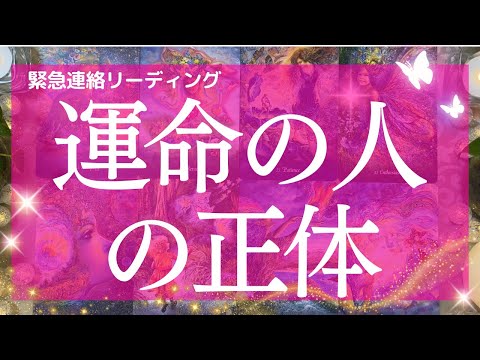 【緊急連絡】運命のお相手の正体 今あなたに必要な重要メッセージ  タロット&オラクル 魂を癒す高波動リーディング