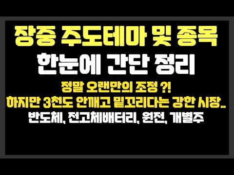 정말 오랜만의 조정 ?! 하지만 3천도 안깨고 밑꼬리다는 강한 시장.. /반도체,전고체배터리,원전,개별주 /두산에너빌리티,한국전력,카카오,NAVER,SK하이닉스