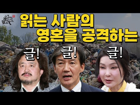 마음에 무엇이 들었길래 문장이 이리도 처참한가! 조국 문다혜 김어준 김건희