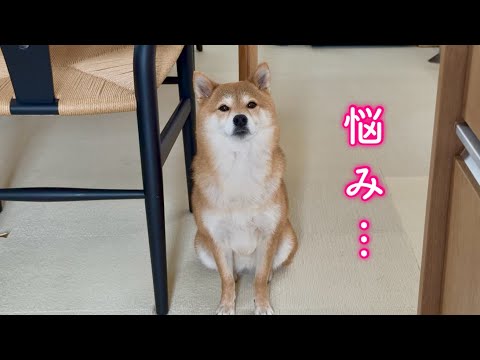 手が掛かるほど愛おしい我が子に悪戦苦闘の日々…