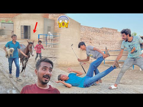 Talha Bhi Big Zoo Se Sab Pets Lekar Ja Rahe Ta Subhan Ne Talha Ki Pitaai Kar Di 🥵