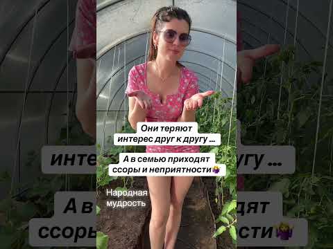 11 июня 2026 г.