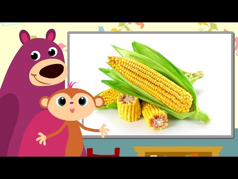 Fun with Vegetables | StoryZoo Kids Learning Video | HooplaKidz Tv