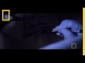 Understanding the Role of Crime Scene Investigators