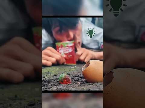 Người đàn ông sợ hãi khi đặt một viên kẹo dưới mặt đất! #shorts