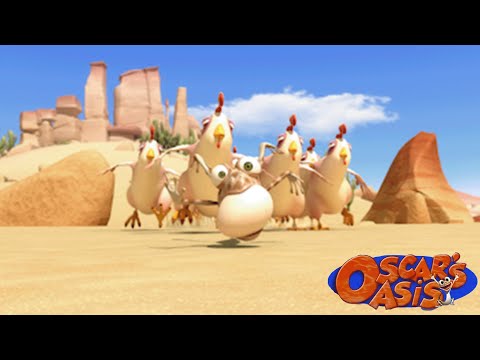 Oscar's Egg Race With The Chickens + More Oscars's Oasis Cartoons For Kids
