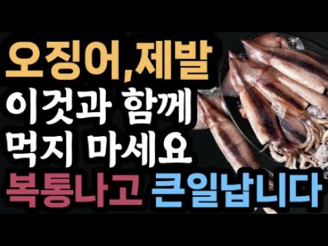 오징어와 상극인 식품 탑3, 오징어효능, 오징어와 궁합이 맞는 식품