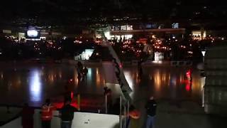 Löwen Frankfurt - EHC Freiburg #FRAFRB