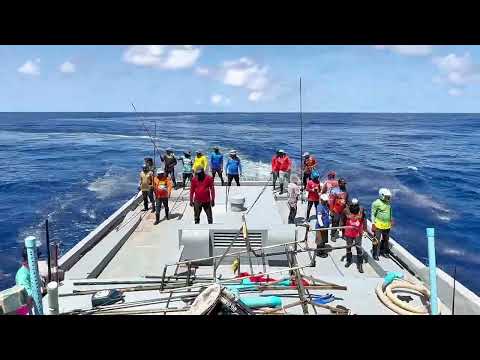 POLE AND LINE FISHING 🎣
