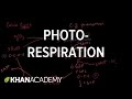 Photorespiration and Calvin Cycle Concepts