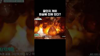 호주의 발 달린 꿀단지 #shorts
