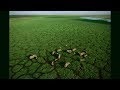 Exploring Africa from Above