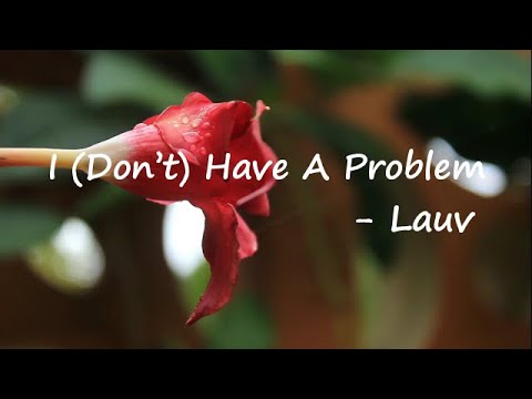 Lauv – I (Don’t) Have A Problem Lyrics