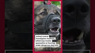 How Many Times Can a Dog Bite Before Being Put Down? #wdlaw #dogbite #personalinjury #virginia