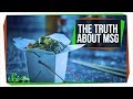 Understanding Umami and MSG