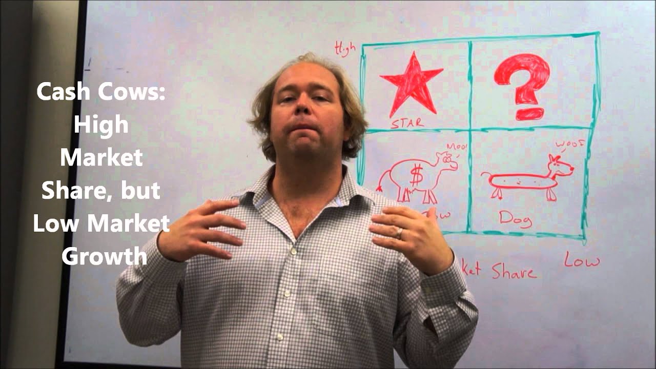 Portfolio Analysis Explained - The BCG Matrix - Wolters World