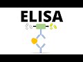 Understanding ELISA Techniques and Applications