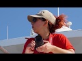 Whale Observation Guidelines and Facts