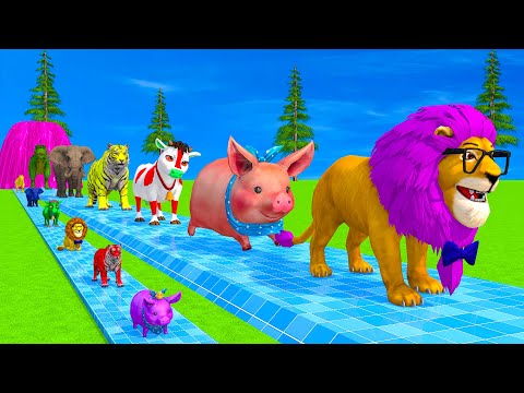 Long Slide Game With Elephant Gorilla Buffalo Hippopotamus Tiger - 3d Animal Game - Funny 3d Animals