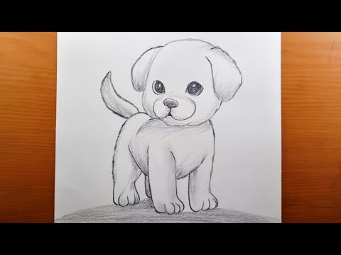 Come disegnare facilmente un cane a matita - Guida passo passo al disegno per principianti