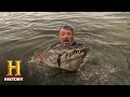 Alligator Hunting Strategies
