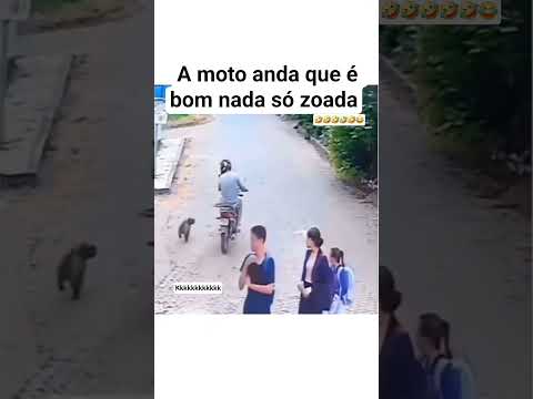 Olhando pro cachorro e a acelerando foi foda vei ๐ ๐ ๐ ๐ a