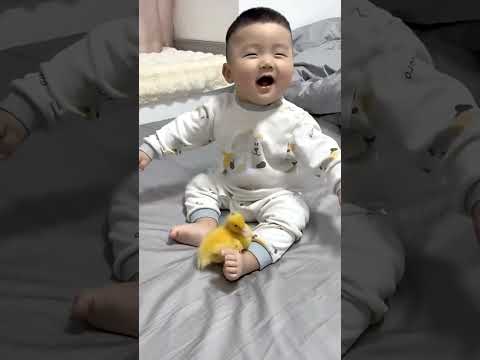 The new pet his dad bought him #cutebaby #cutebabyfunnydaily #whenhumanbabymeetssmallanimal