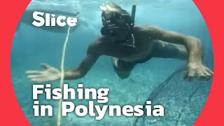 YouTube video thumbnail: Polynesian Fishing: From the Ocean to Papeete’s Market