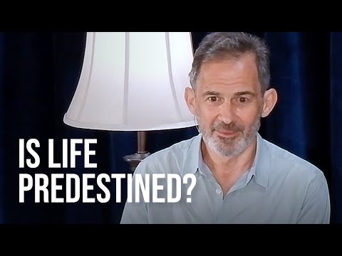 Is Life Predetermined or Are We Free to Choose?