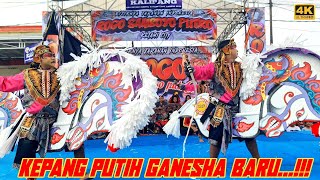 Kepang BARU✨Rogo Samboyo Putro Kalipang Senden Kediri