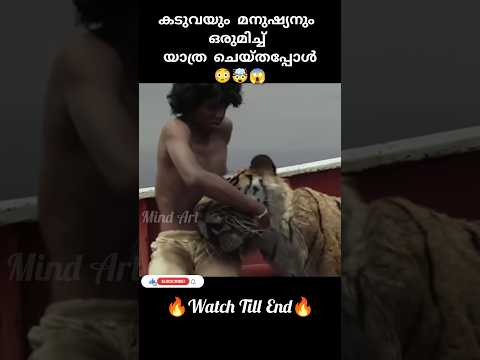 കടുവയും മനുഷ്യനും ഒരുമിച്ച് യാത്ര ചെയ്തപ്പോൾ ??|Life of pi|#shorts #malayalam #viral