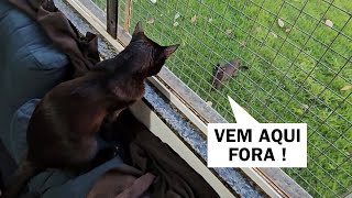 E assim foram esses 40 dias de sofrimento do Juninho !!