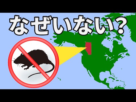 アルバータ州にだけネズミがいない理由がこちら【解説動画】