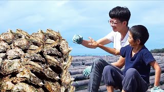趁着好天气出海捞生蚝，用传统碳焙工艺做出来的生蚝干，煮一碗蚝干粥口口鲜