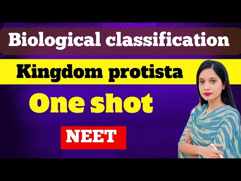 Complete KINGDOM PROTISTA सिर्फ 30 मिनट में, Handwritten NOTES के साथ