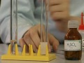 Химия: Поведение серной кислоты