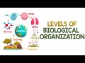 Biological Organization and Ecosystems