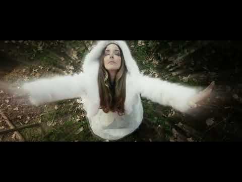 Madwave x Taucher x Torsten Stenzel - Bizarre (Official Music Video)