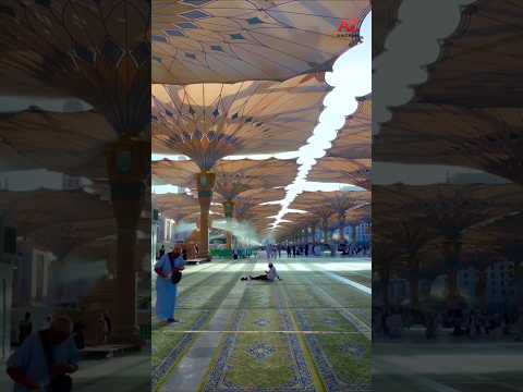 உலகின் மிகப்பெரிய குடை! | World's Biggest Umbrella