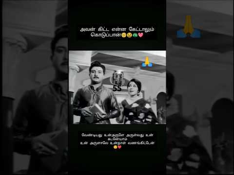 🌺 நம்பினால் தருவன் முருகன் துணை🌺 🦚🦚 #shortsfeed #shorts #murugansongs #muruga #muruganthunai