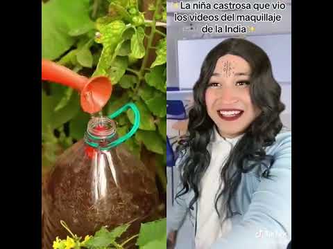 Regina que te paso?
