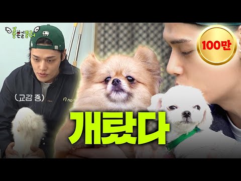 🐶개힘들지만 개좋아!🐶 ‘유기견 봉사 체험’ | 좋은일잘러 EP.1