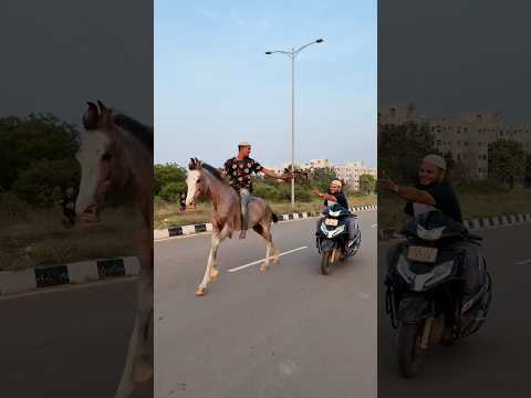 Alhmduillha miya bhai#short #horse #love