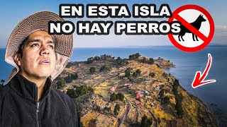 Viajé a una ISLA donde NO EXISTEN LOS PERROS ¿Por qué no hay?