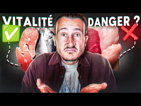 Alimentation Animale : Bon ou Mauvais ? 🍖